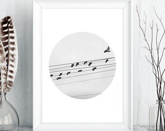 Birds music notes | Etsy