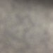 T M