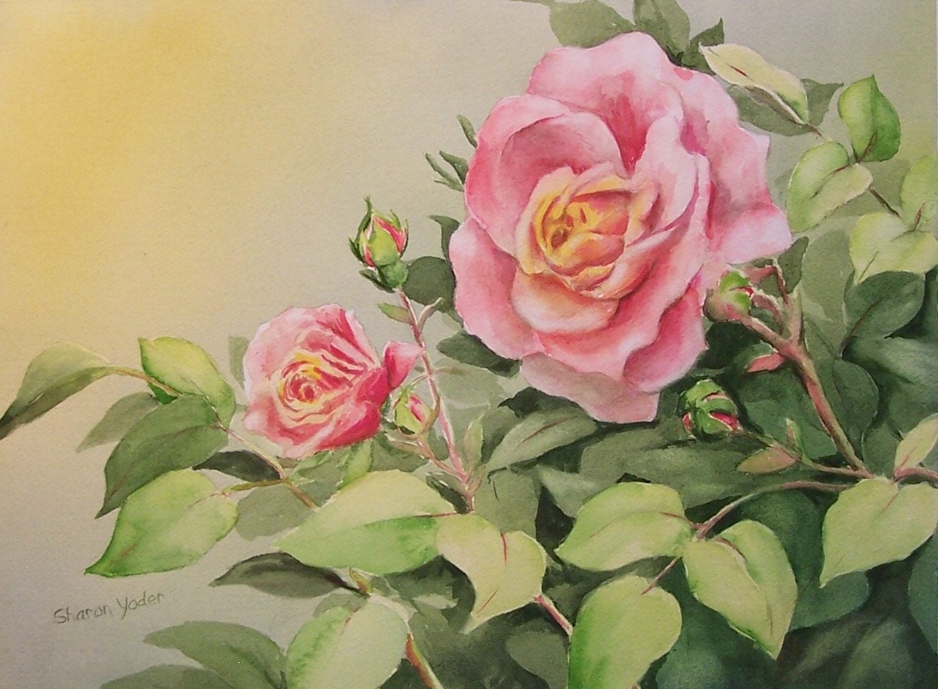 Original Watercolor Painting Peace Rose Includes Mat