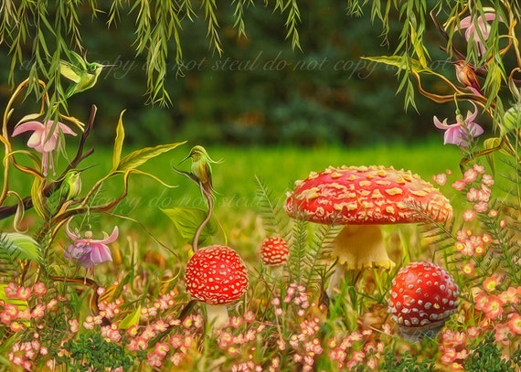 Magical Fairy Toadstool Digital Background / digital backdrop