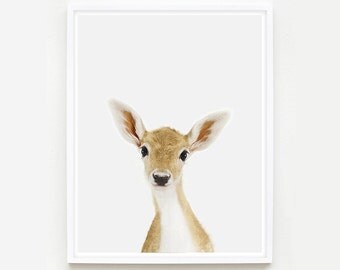 Baby Animal Nursery Art Print. Baby Deer Little Darling. Fawn Print. Animal Wall Art. Animal Nursery Decor. Baby Animal Photo.