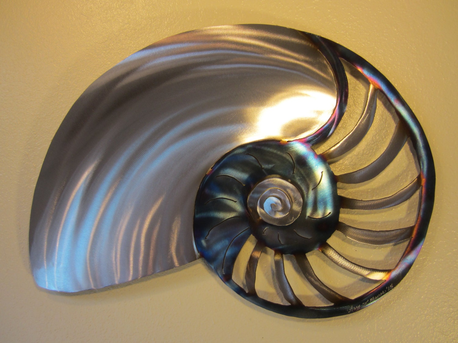 steel nautilus