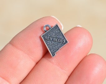 BULK 20 Silver State of New Mexico Charms SC3614