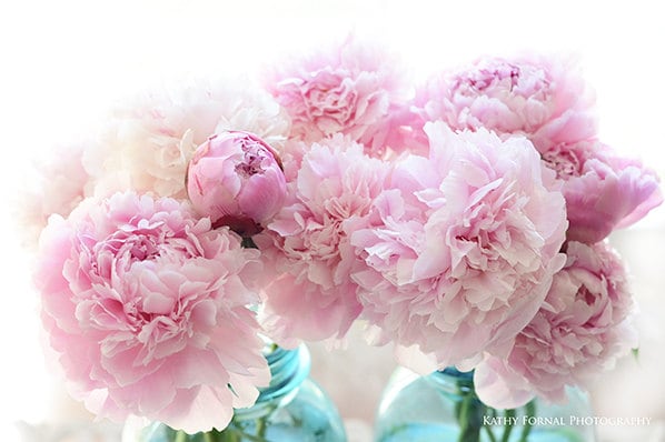 Pink Peony Prints Shabby Chic Decor Pink Peonies Mason Jar