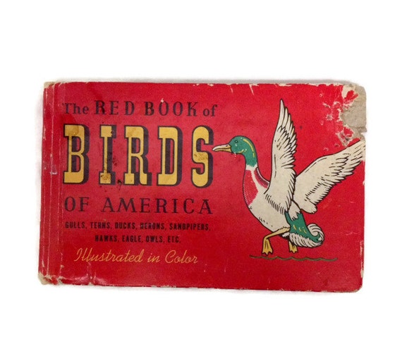birds of america color etch prints by tom dolan
