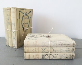 Vintage french classics book bundle