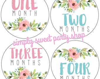 floral baby month milestone stickers, flower month stickers, watercolor floral baby month stickers, pink and blue, set of 12 stickers
