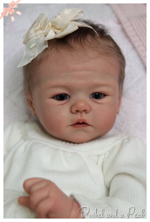 CUSTOM ORDER Reborn Doll Baby Girl Shannon by ...