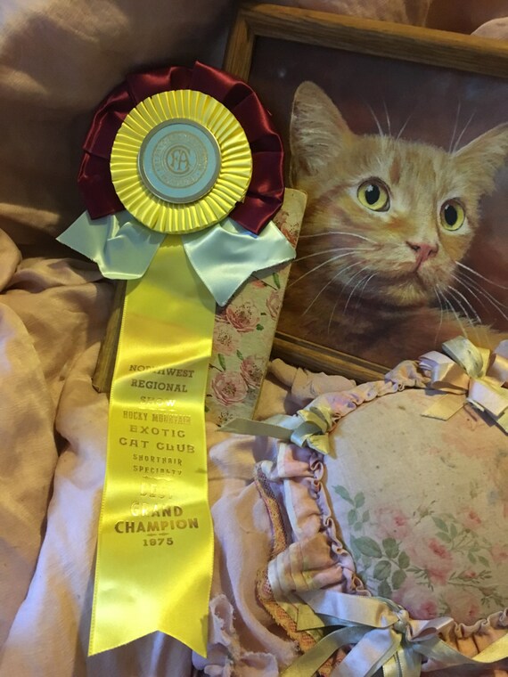 Vintage CFA CAT Show Satin Ribbon Rosette Award Best Grand