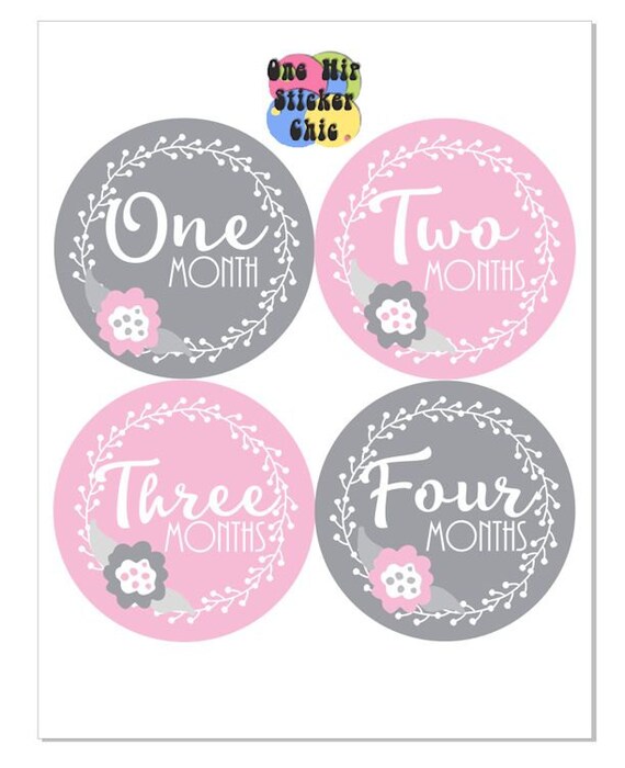 Floral Baby Girl Monthly Sticker Month Pink Grey