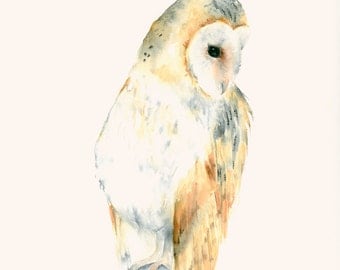 Owl Art Fine Art print from Original Watercolor Painting Barn Owl