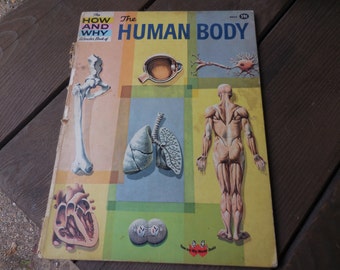 Human Body Book Etsy