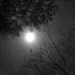 deepdarknight