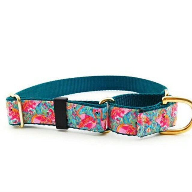 MuttsnBones Unique Dog Collars Leashes and More by MuttsnBones
