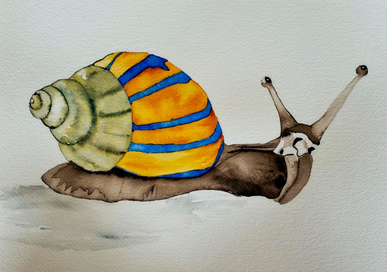 Watercolor painting of snail with colorful shell orange blue