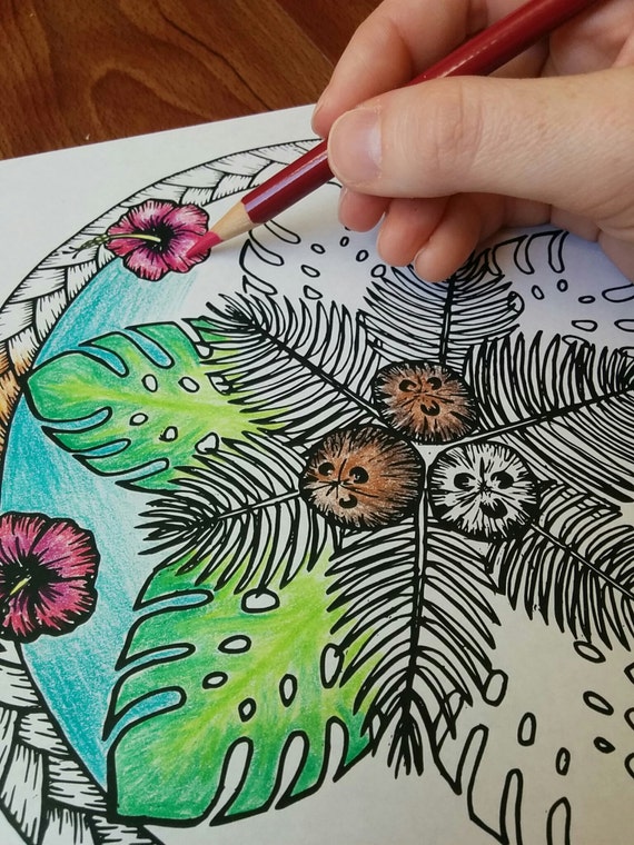 Tropical Coconut Hawaiian Mandala Coloring Page Adult By Sissonne 4064