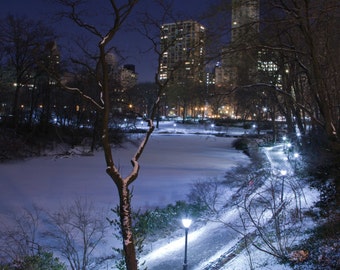 Unique central park winter related items | Etsy