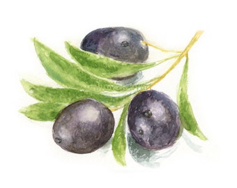 Watercolor Olives, Olives Print, Ripe Olives Print