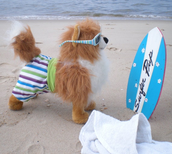 DOG SWIMMING TRUNKS Dog Stripes Swim Trunks Dog swimm wear