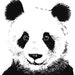 Print Panda