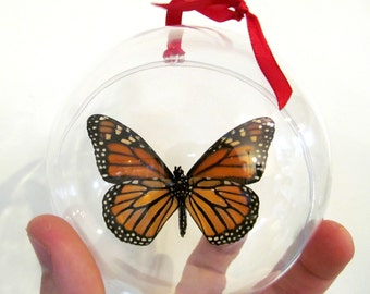 Real Orange Monarch Verso Danaus Plexipus Butterfly Christmas Ornament Ball Globe Round Gift