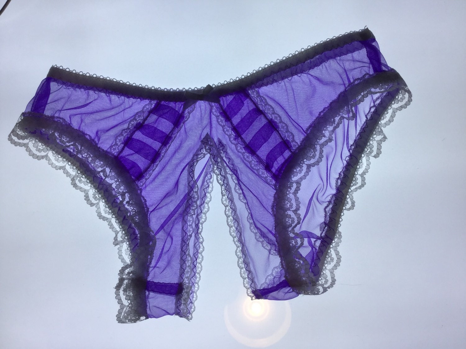 Sheer Nylon Burlesque Vintage Style Crotchless Bikini Briefs