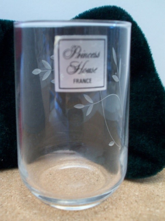 Vintage Classic Princess House Juice Glass Etched Foral Design