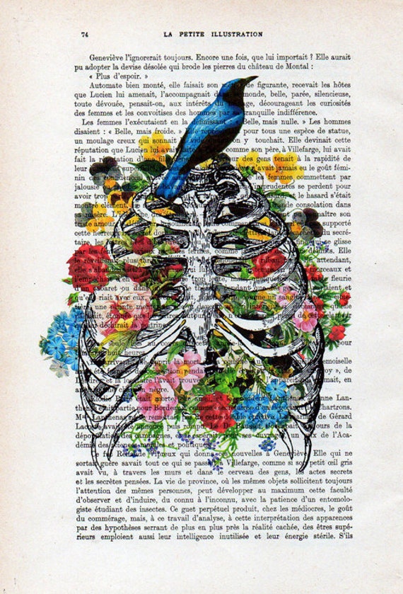 Anatomy Rib Cage Print Flower Bird Art Illustration 