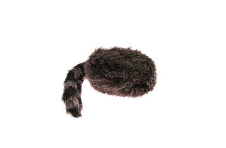 Pioneer Raccoon Skin Hat