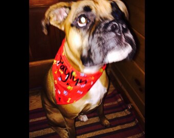 Dog Bandana Personalized with any name