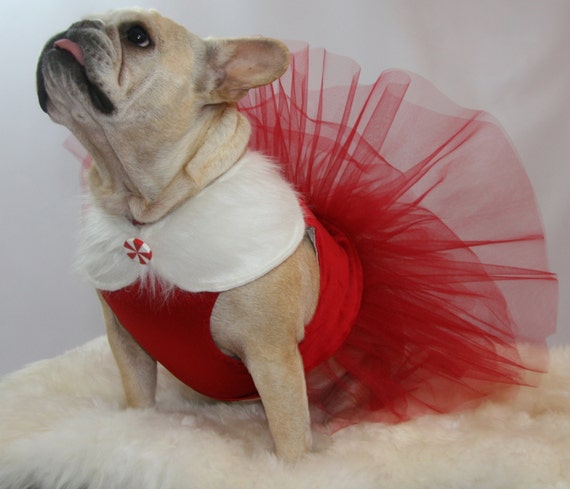 Dog Dress Mrs Claus Little red dress