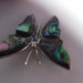 Abalone Shell Butterfly Magnetic Brooch - Eyeglass & Sunglass Holder