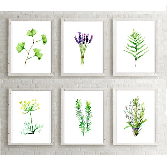 Herbs and plants set of 6 watercolor painting green decor
