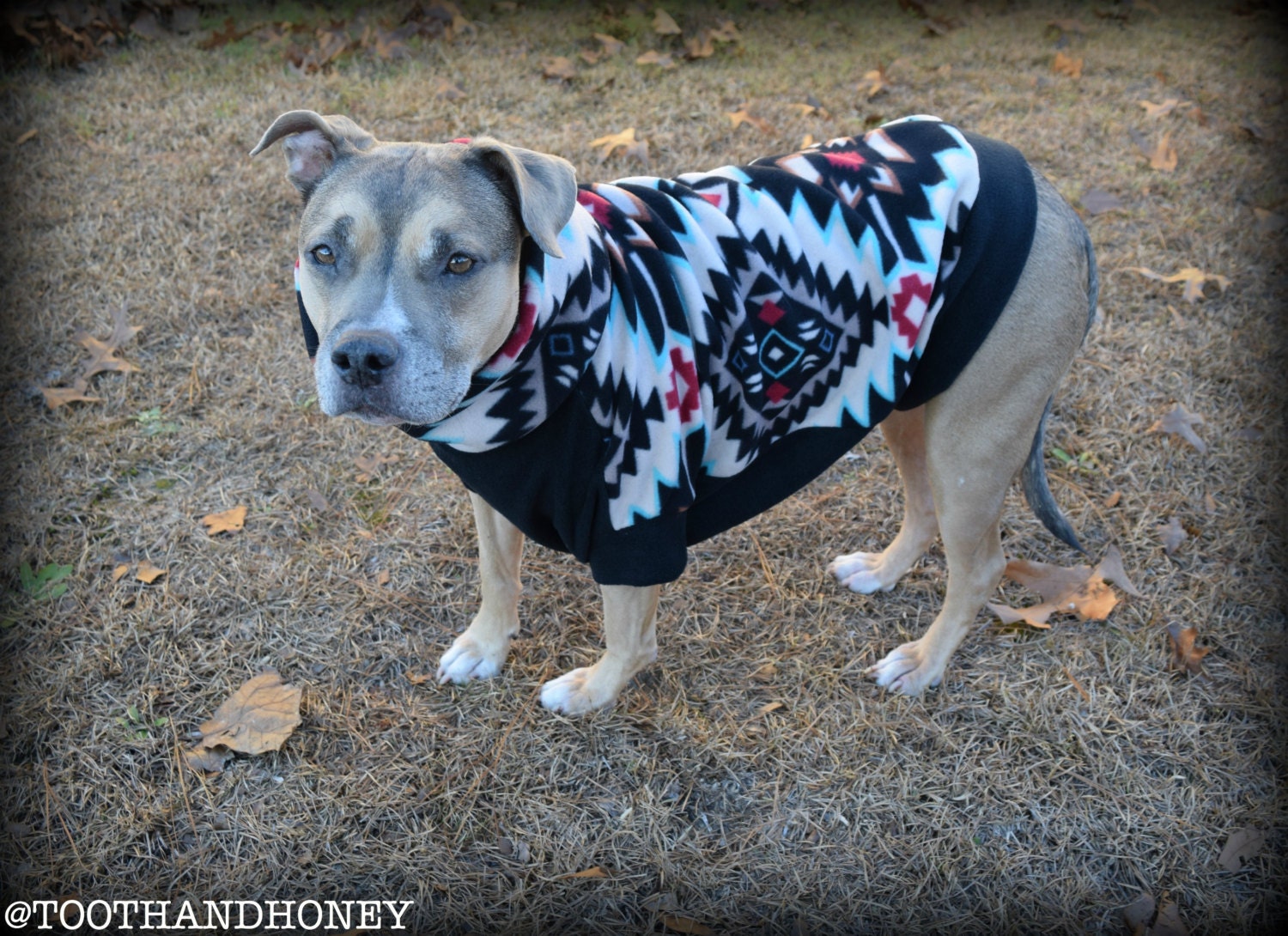 cheap dog sweaters for pitbulls women