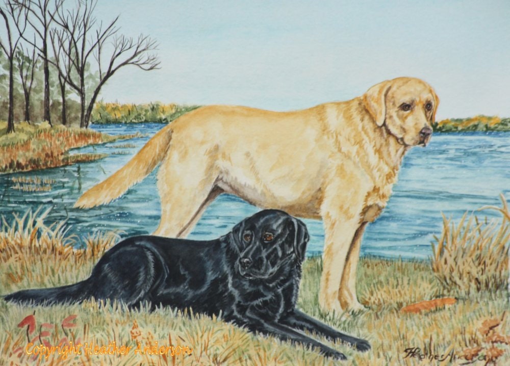 Yellow Lab and Black Lab Art Print Labs by TheDogArtGallery