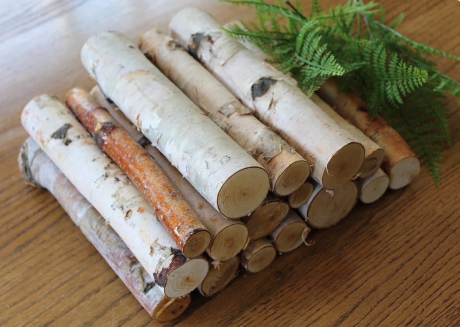 10'' Birch Logs/ Decorative Birch Logs / Box full of