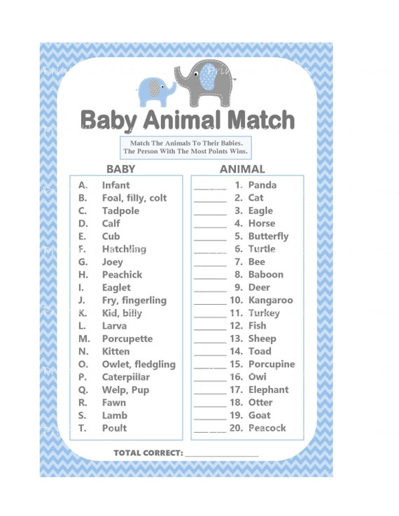 baby animals match the animals to the baby name