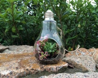 LIGHT BULB - Air Plant Hanger // Industrial Hanging Planter // Boho Interior // Glass Terrarium // Hanging Vase // Light Bulb Vase