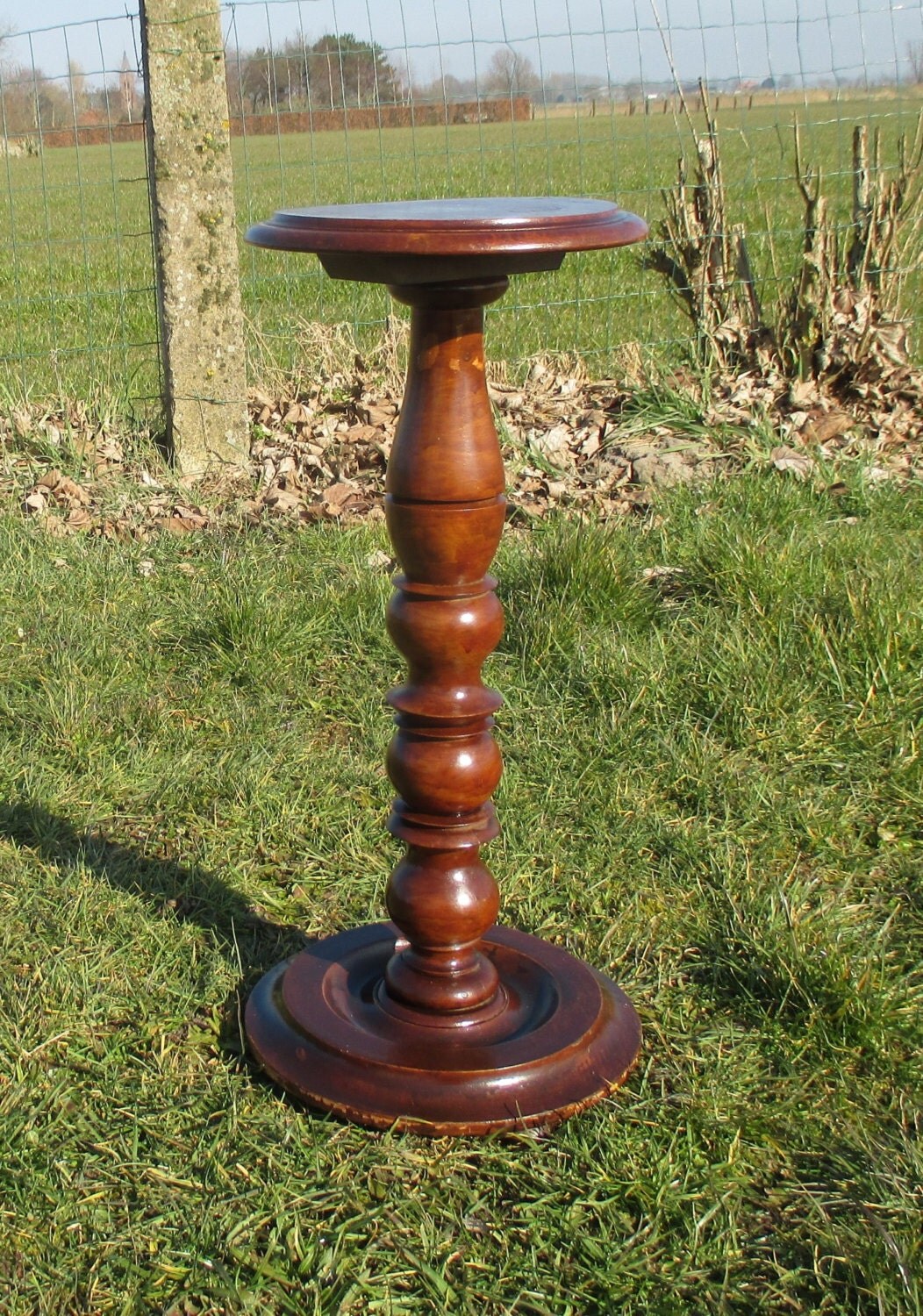 Vintage Dark Carved Wood Pedestal Display Table Plant Stand