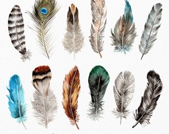 Watercolor Feathers Clipart - Watercolour Feathers, Hand Painted Feathers, Feather Clipart, Clipart Feathers, Tribal Clipart