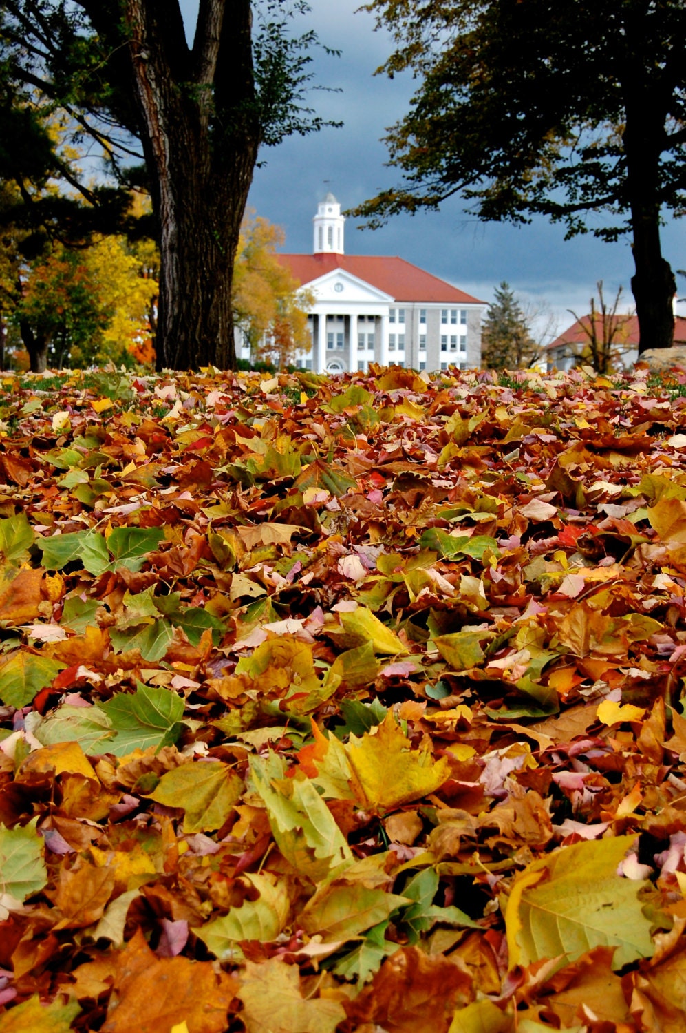 James Madison University Wilson Hall Fall The Quad JMU