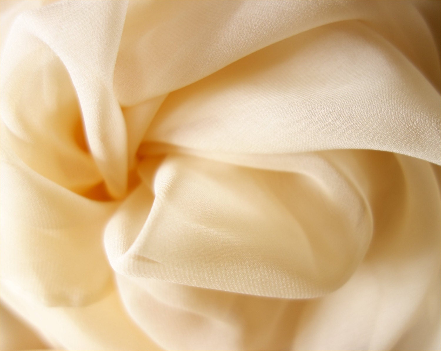 Pure Silk Chiffon In Champagne Fabric By The Metre By Silkcentre