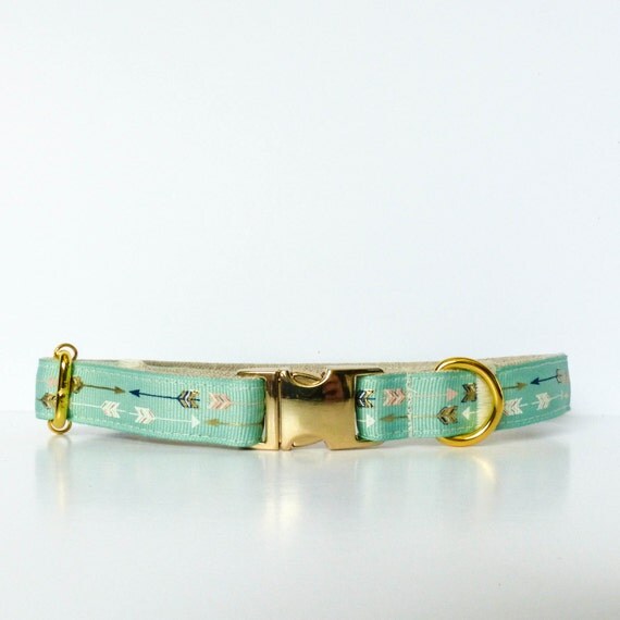 Mint green arrows dog collar Trendy dog collar mint dog by NicSews