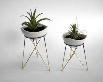 set of 2 geometric plant stands with a little white ceramic flower pots | himmeli | elegant geometric terrarium | metal brass soldered