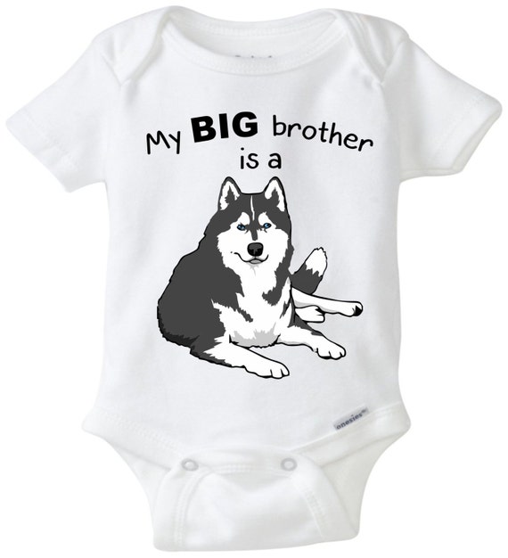 My Big brother is a Husky dog baby onesie dog onesie Gender