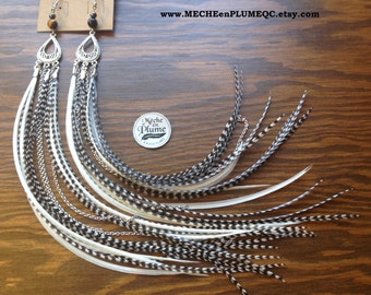 Feathers Earring / Hematite / Tiger Eye - Feather Ying Yang