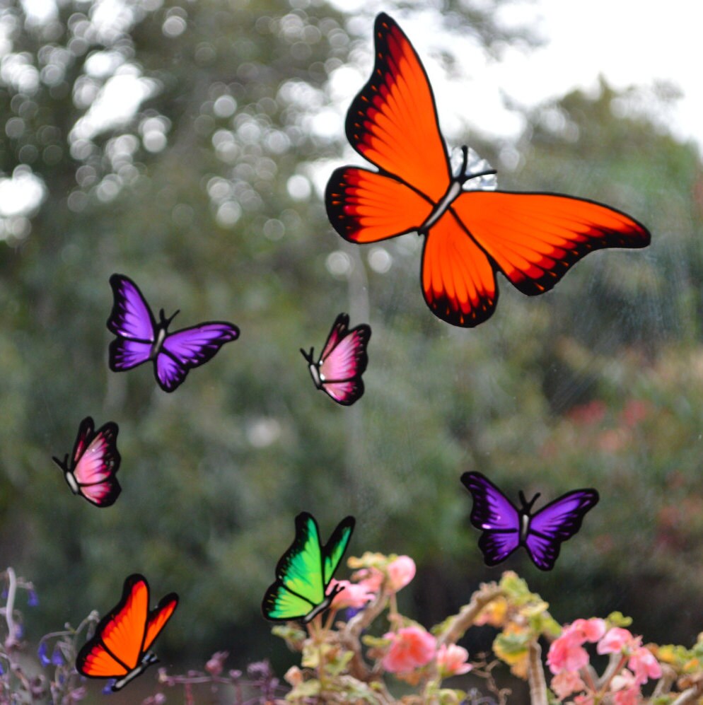 Butterfly decal Butterfly stickers Butterfly mirror Window