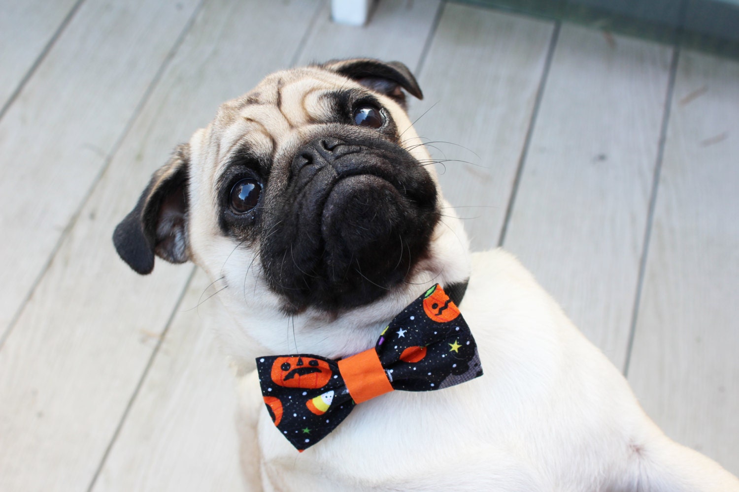 Halloween Dog Bow Tie Halloween Dog Costume by BourneWildPetWear