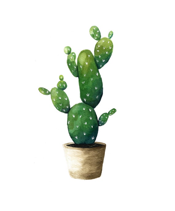 succulent watercolor cactus art succulent painting by TheColorFlow