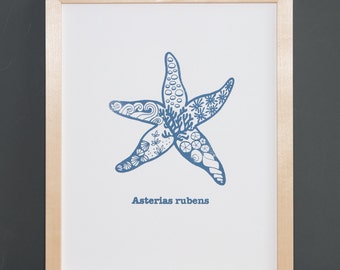 Starfish - serigraphy screenprint linocut